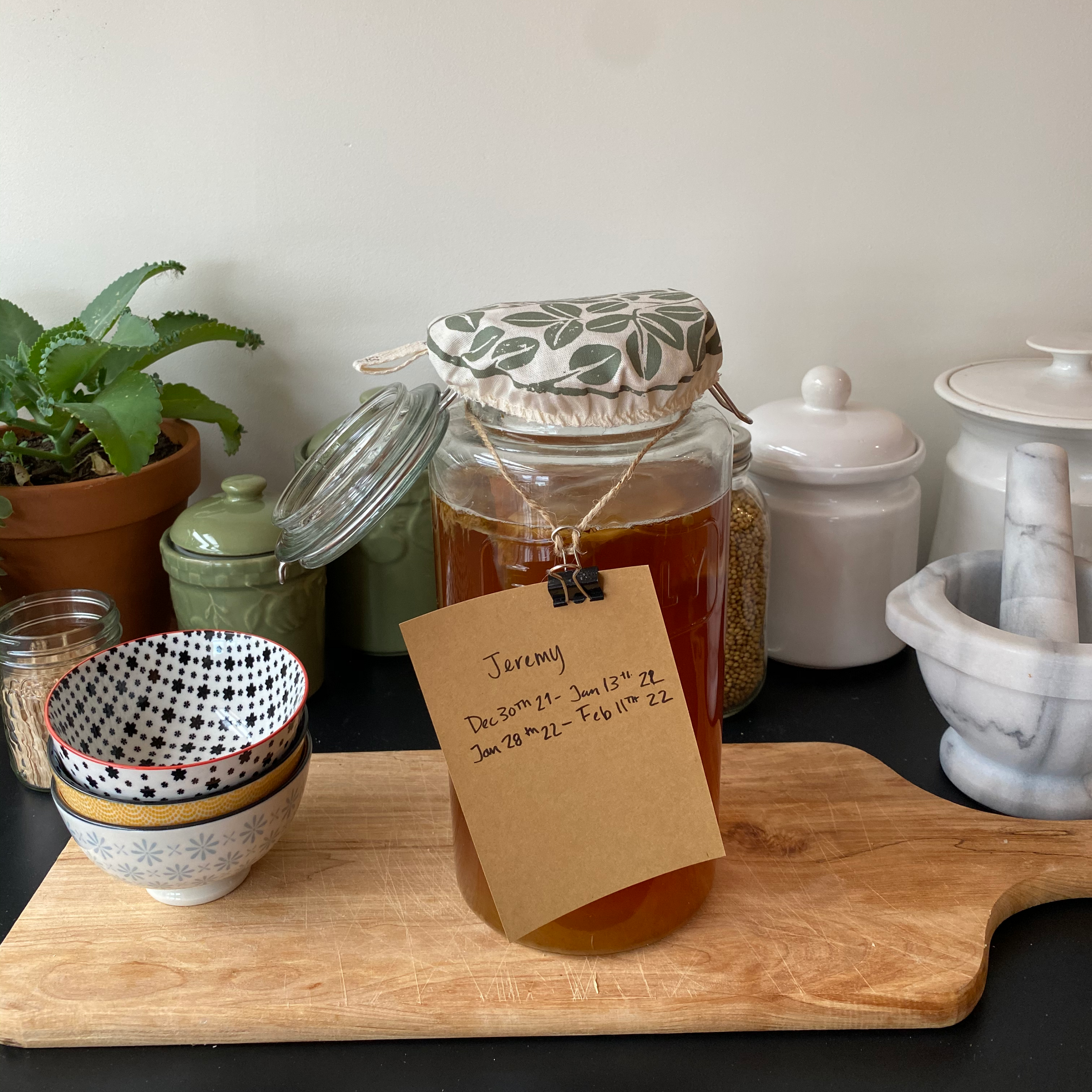 Kombucha Basics for Beginners